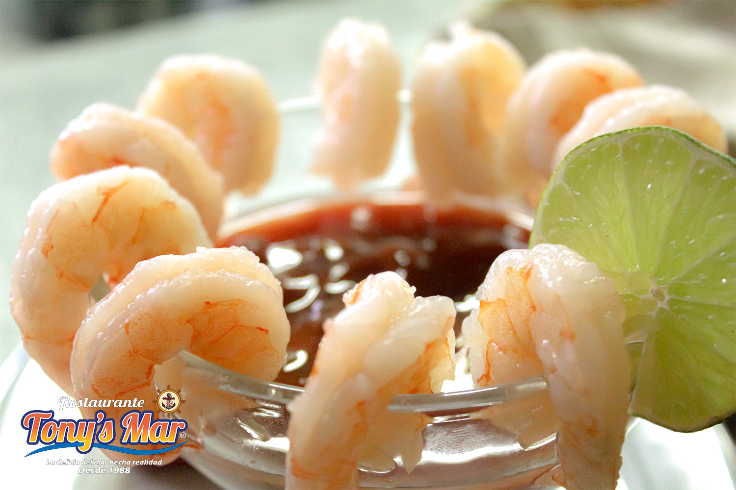 Ceviches de Tony's Mar Ceviches de Tony's Mar
